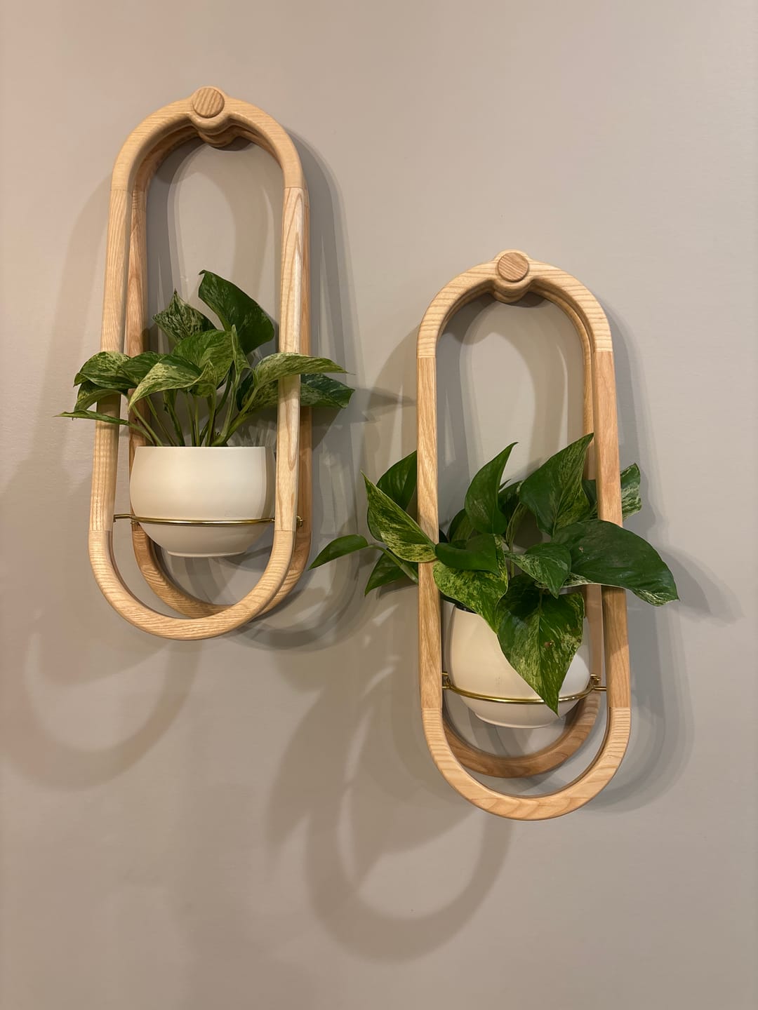 Customer photo review of Frame Wall Planter + Pot Duo