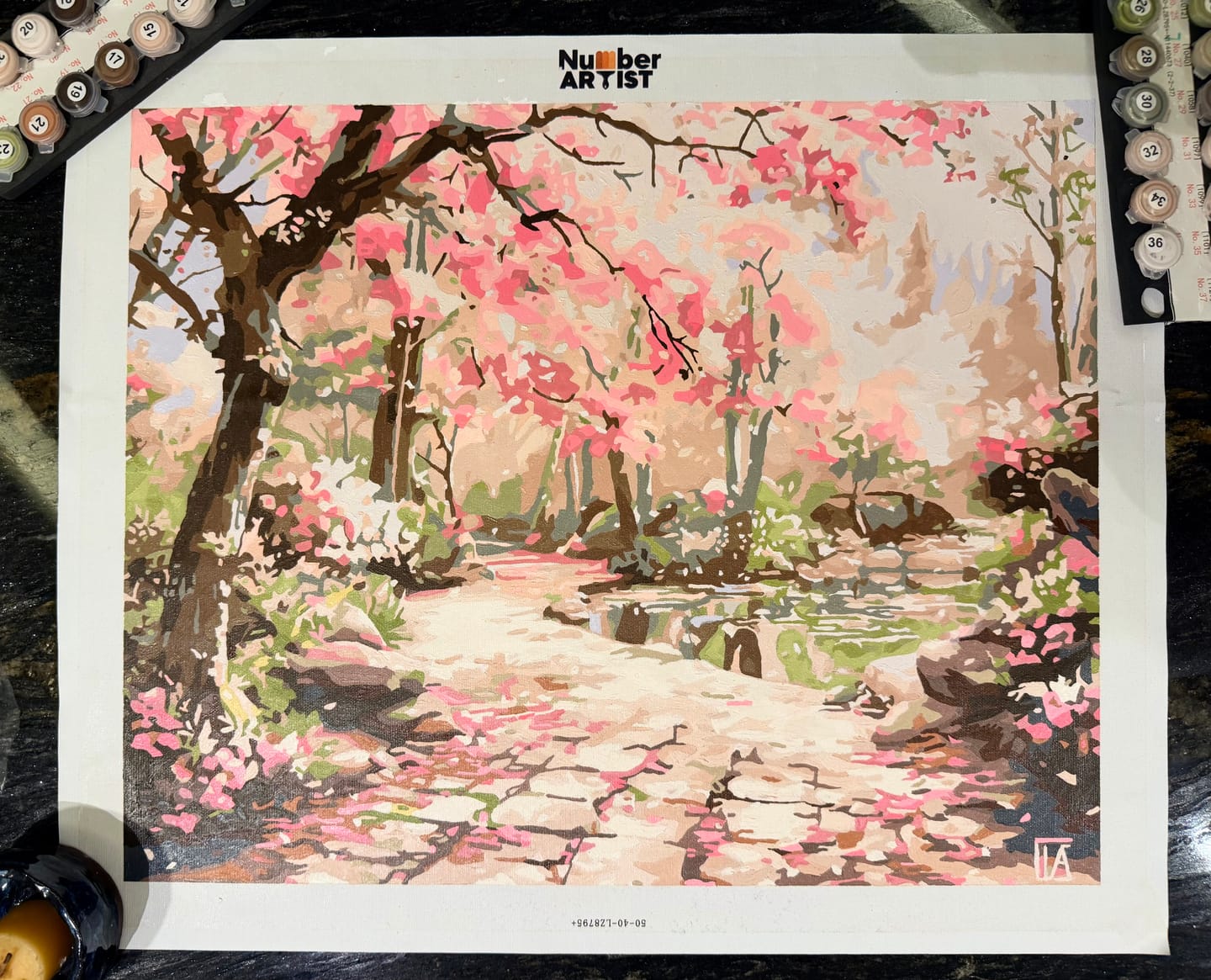 Customer photo review of Serene Sakura Stone Path