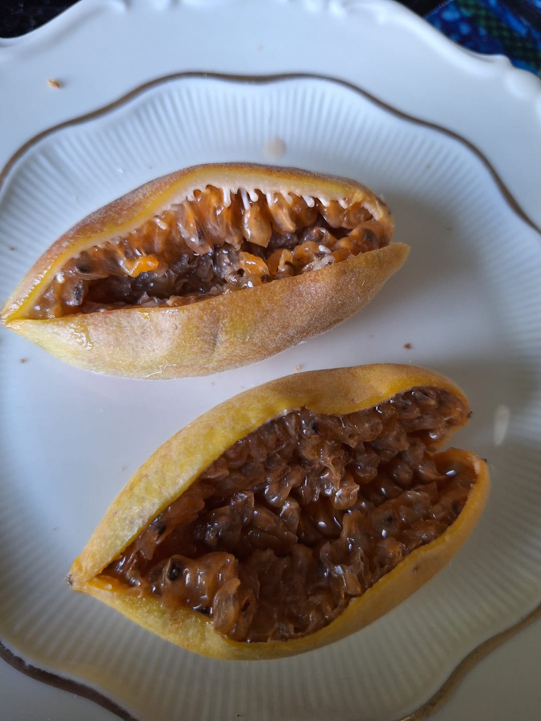 Customer photo review of Curuba (Bananen-Maracuja)