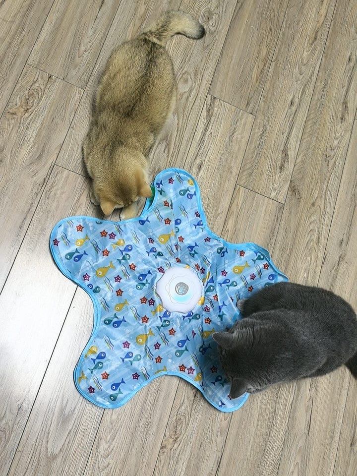 Customer photo review of Teasing UFO (Cats)