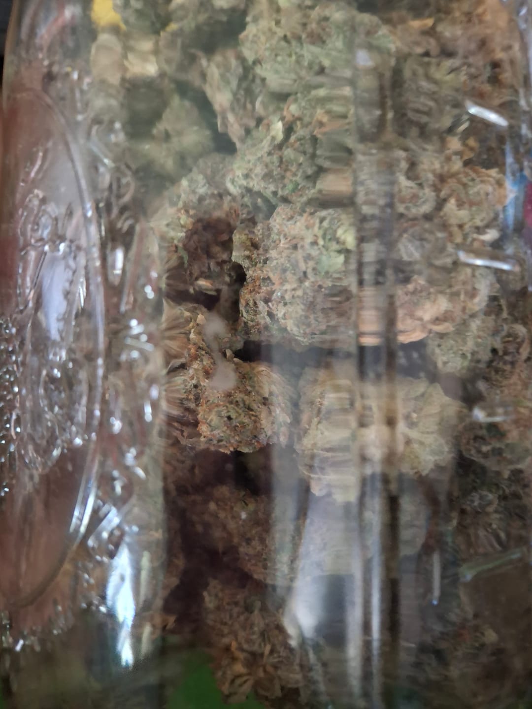 Customer photo review of Jungle Gelato - Bulk - Indica