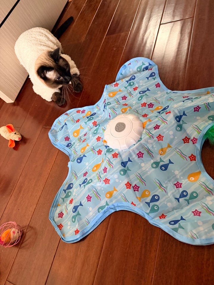 Customer photo review of Teasing UFO (Cats)