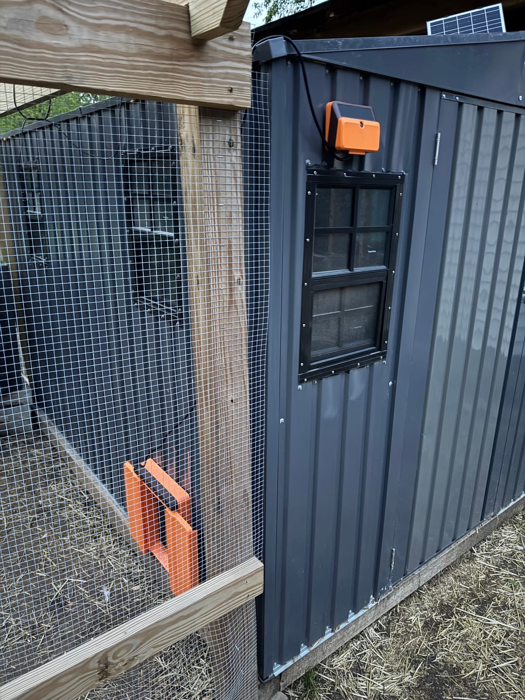 Customer photo review of Solar Automatic Chicken Coop Door