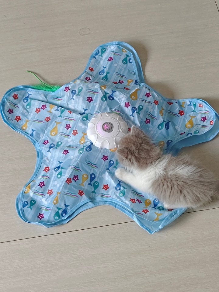 Customer photo review of Teasing UFO (Cats)