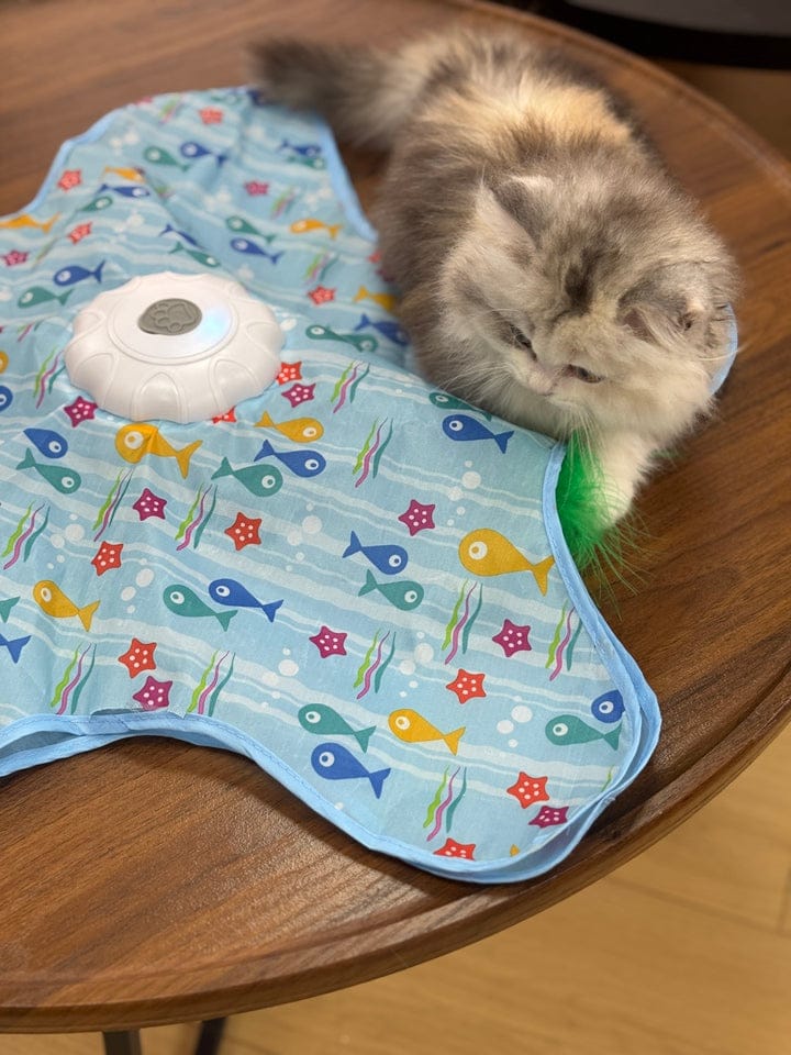 Customer photo review of Teasing UFO (Cats)