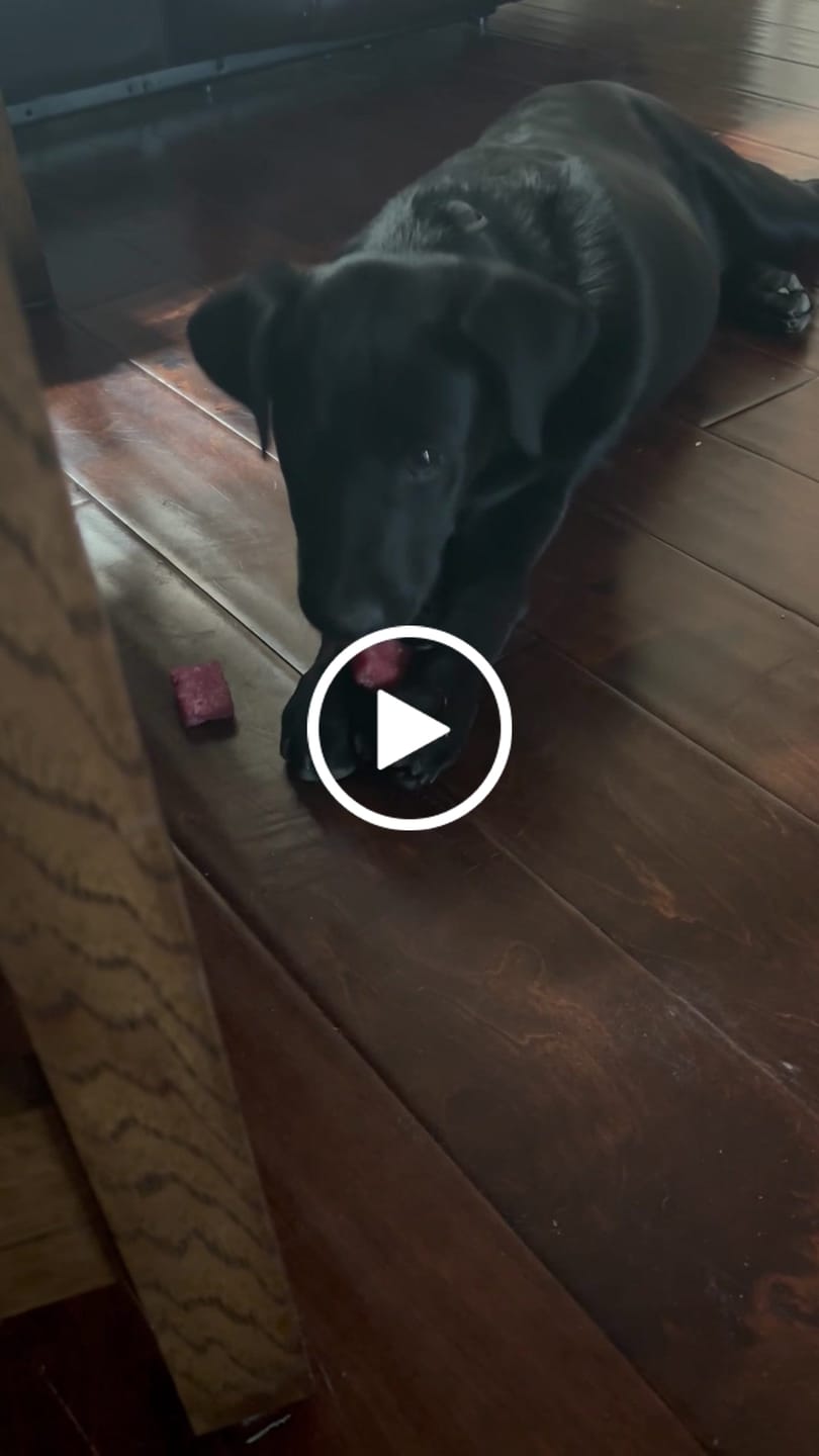 Customer video review of Long-Lasting Yak Chews — 6 Flavor Pack