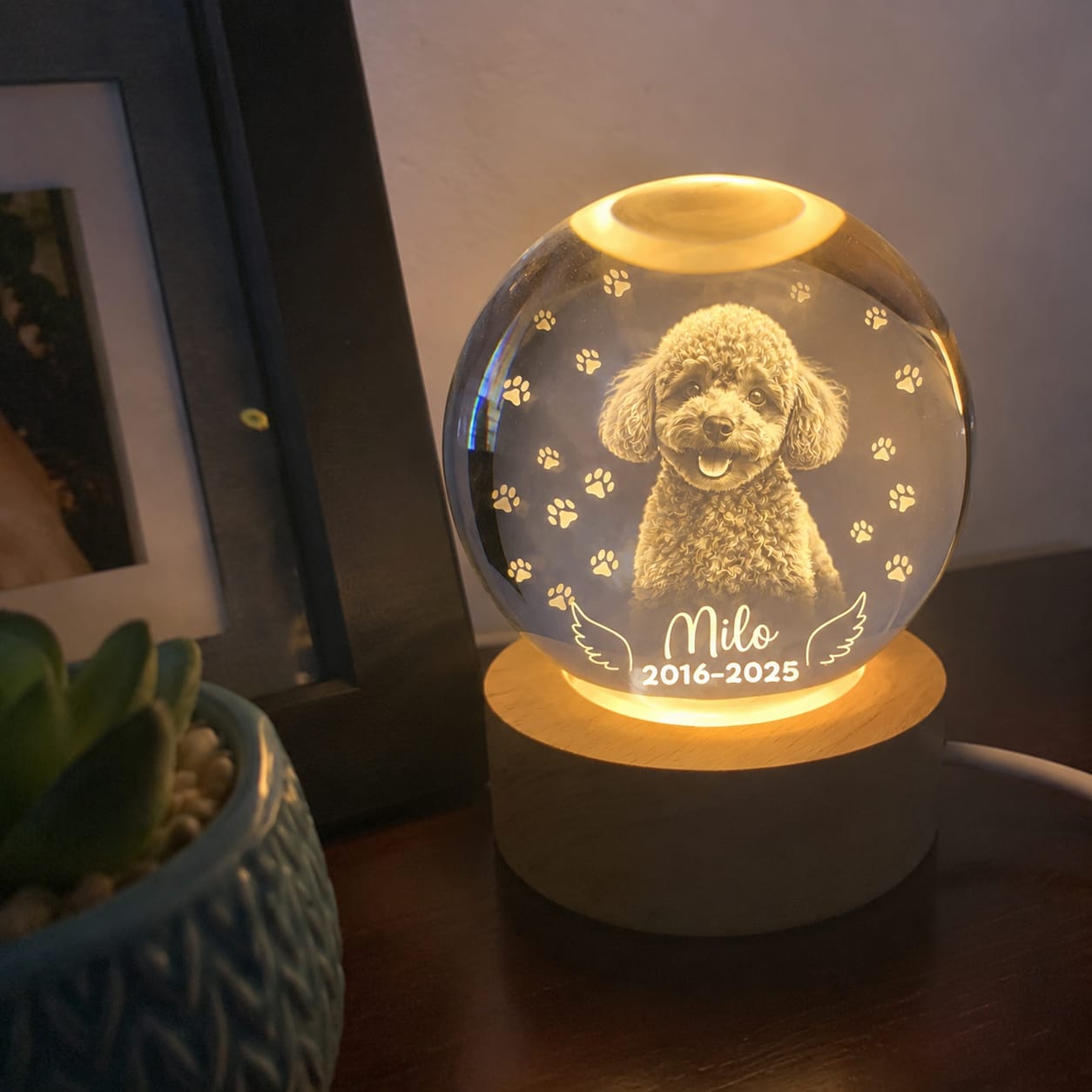 Customer photo review of Dog Angel Wings Memorial - Personalized Crystal Ball LED Night Light - Sympathy Gift For Dog Lovers