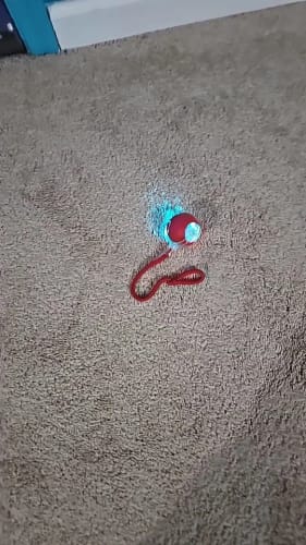 Customer photo review of Ssmart Interactive Rolling Ball for Small Dogs