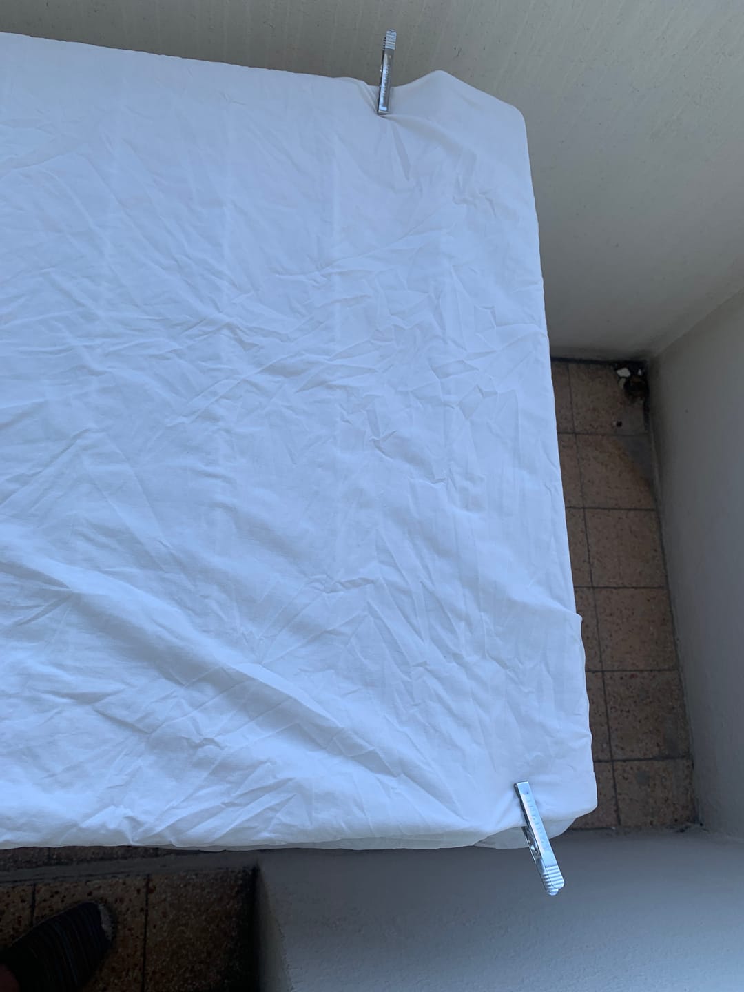 Customer photo review of Pinces à linge inox incassables