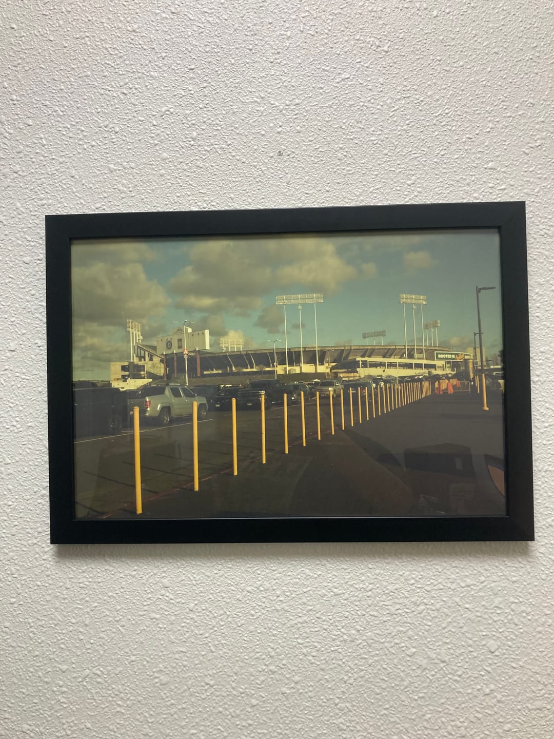 Customer photo review of The Golden Hour - 12x18 Photo Print