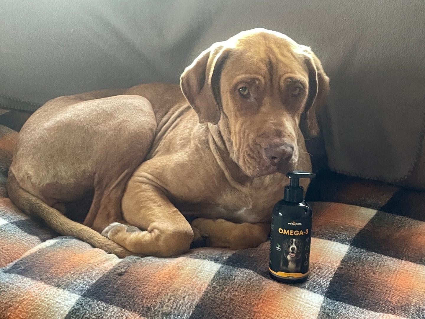 Customer photo review of OMEGA-3