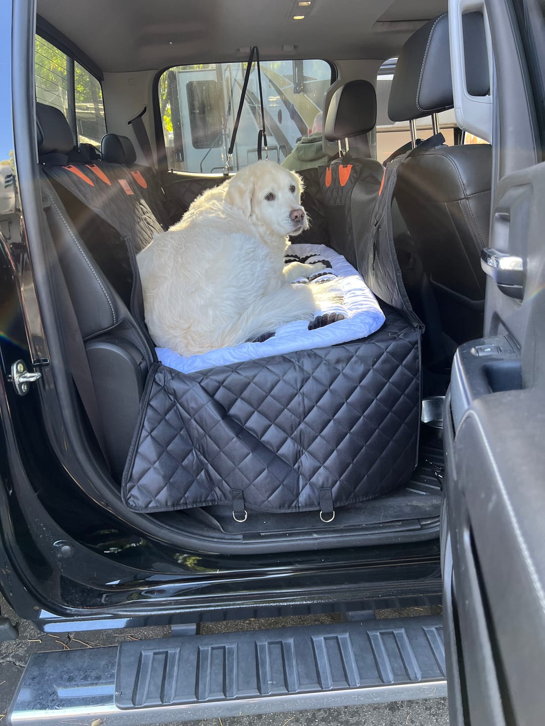 Customer photo review of Replacement Cover For CozyRider™ 2.0
