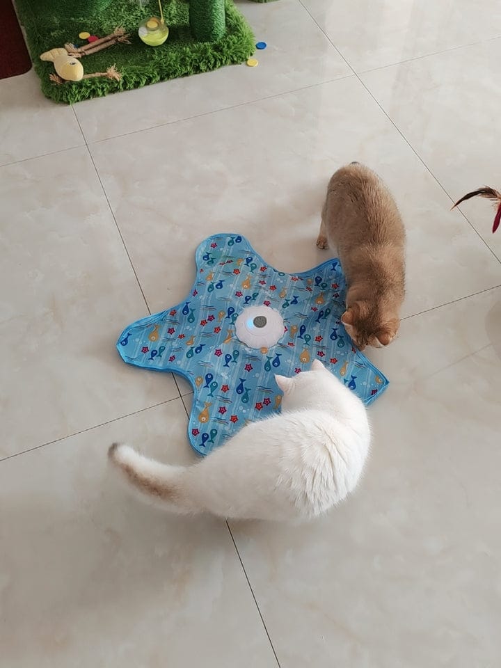 Customer photo review of Teasing UFO (Cats)