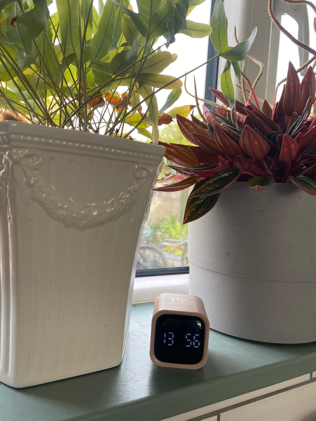 Customer photo review of FOCUS