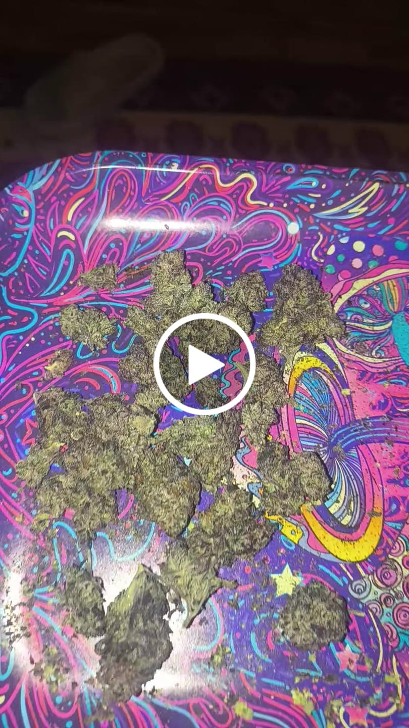 Customer video review of Tier 2 Sour GMO THCa Live Hash Rosin