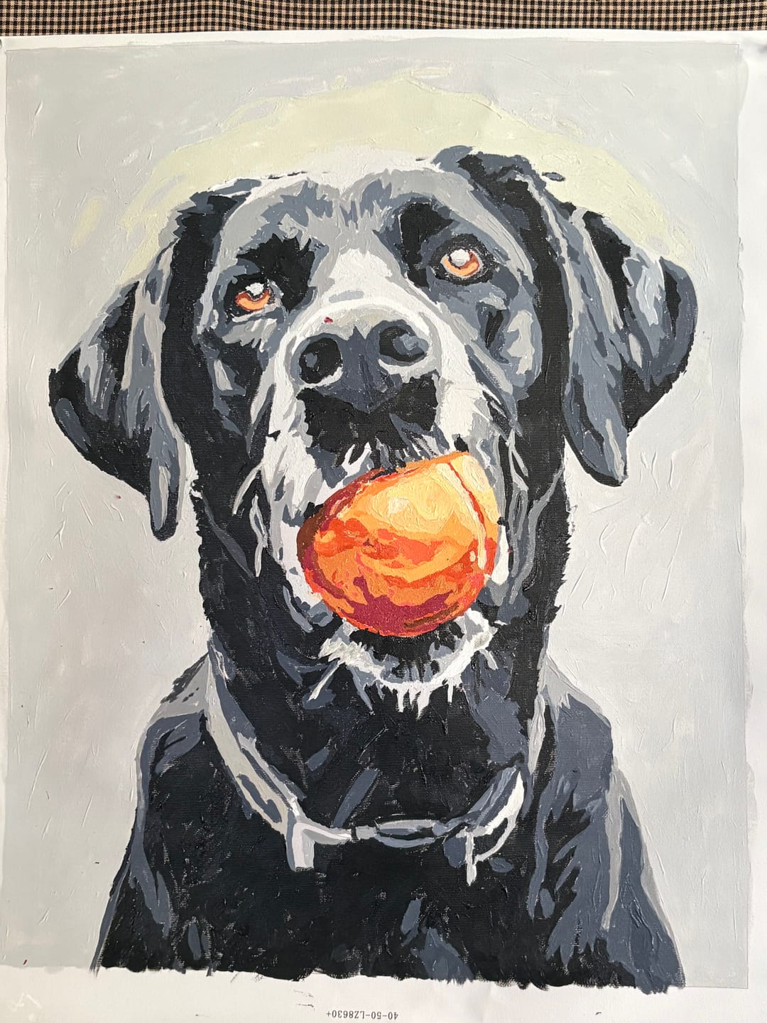 Customer photo review of Play Time