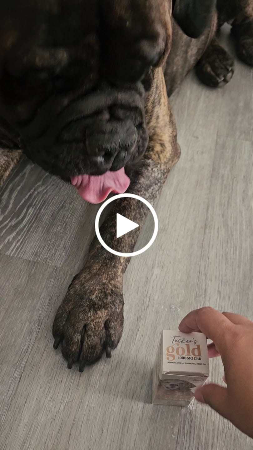 Customer video review of Tucker's Gold 1000MG