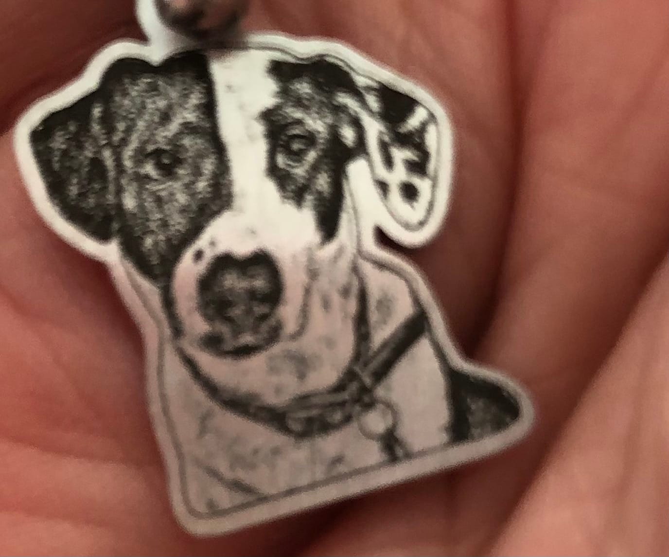 Customer photo review of Pet Engraved Chain Bracelet