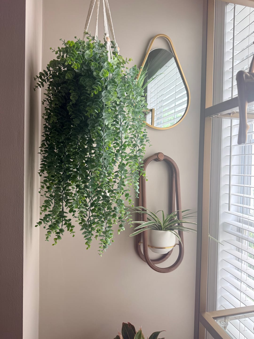 Customer photo review of Frame Wall Planter + Pot