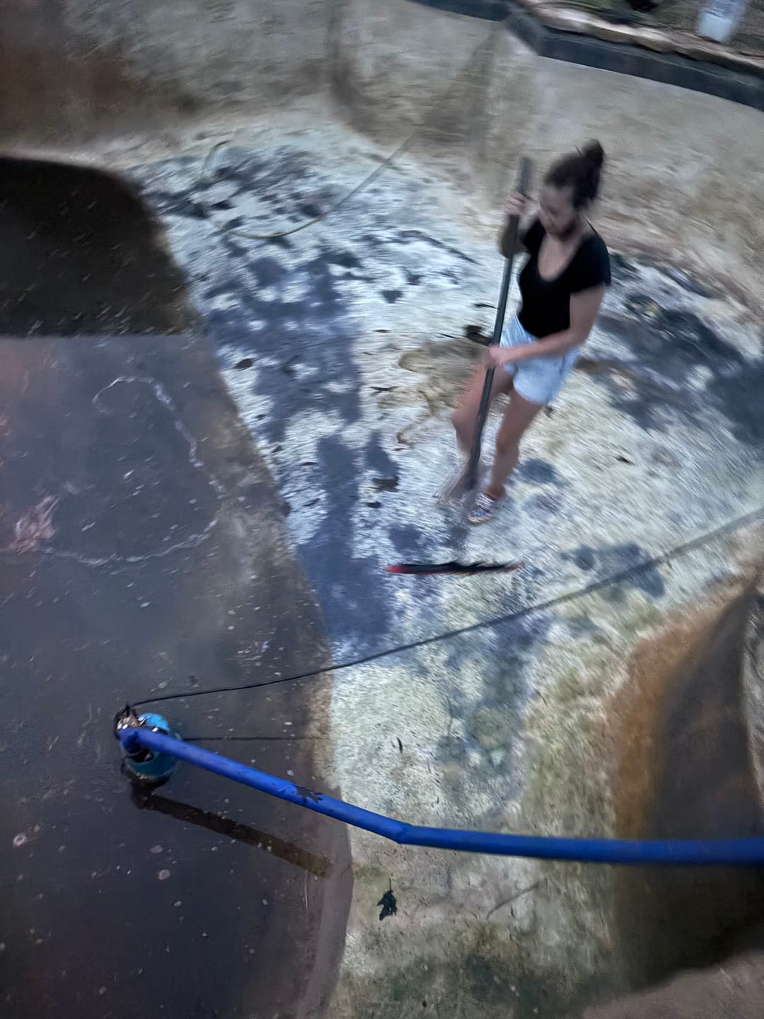 Customer photo review of HyperPole / Carbon Only Swimming Pool pole