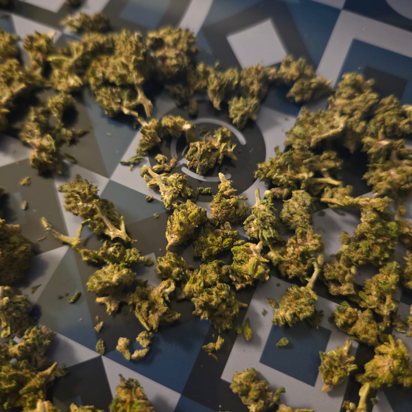 Customer photo review of Blue Dream - 28 Grams - Sativa