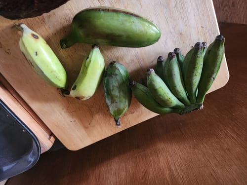 Customer photo review of Banana Sampler