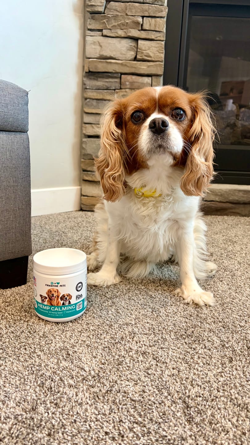 Customer photo review of Hemp Calming Chews for Dogs – 120 Soft Chews