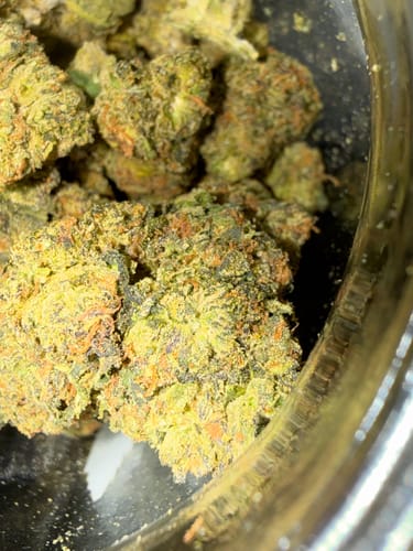 Customer photo review of Cheap Indoor THCA Flower Ounce