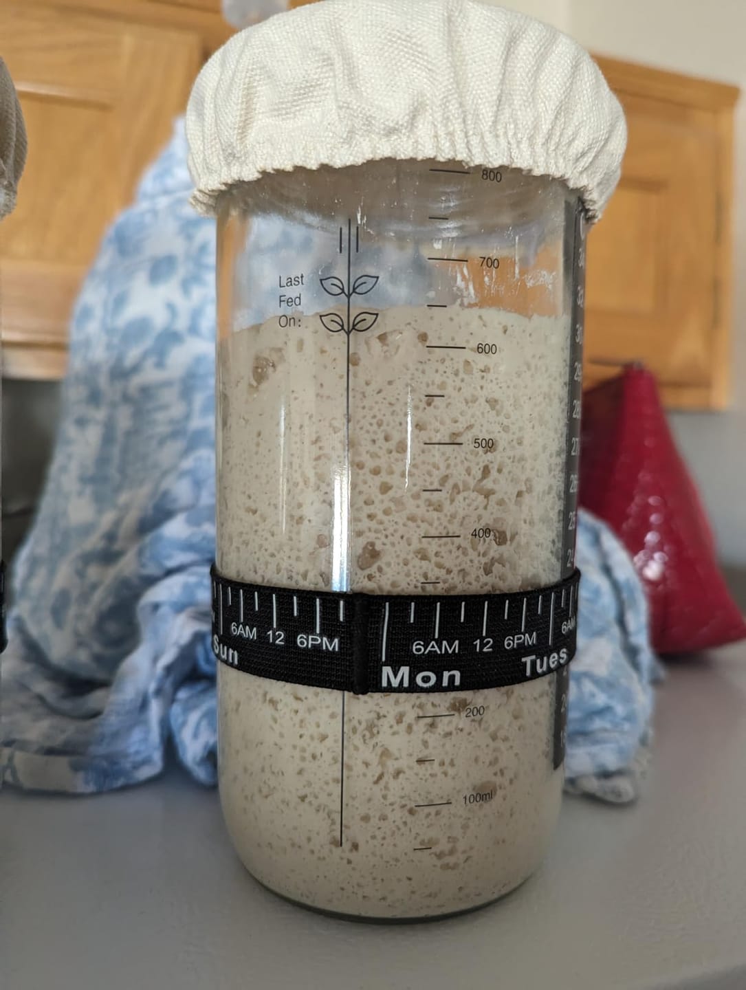 Customer photo review of Living Jin Foods: Sourdough Starter