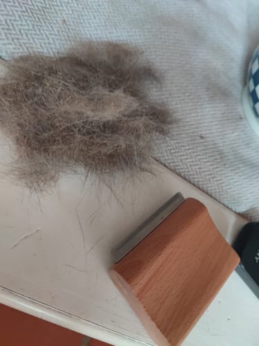 Customer photo review of Brosse Anti-Poils Réutilisable Double Face