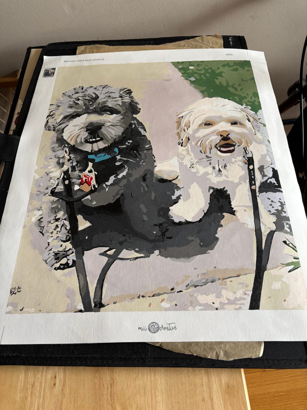 Customer photo review of Paint Your Own Photo