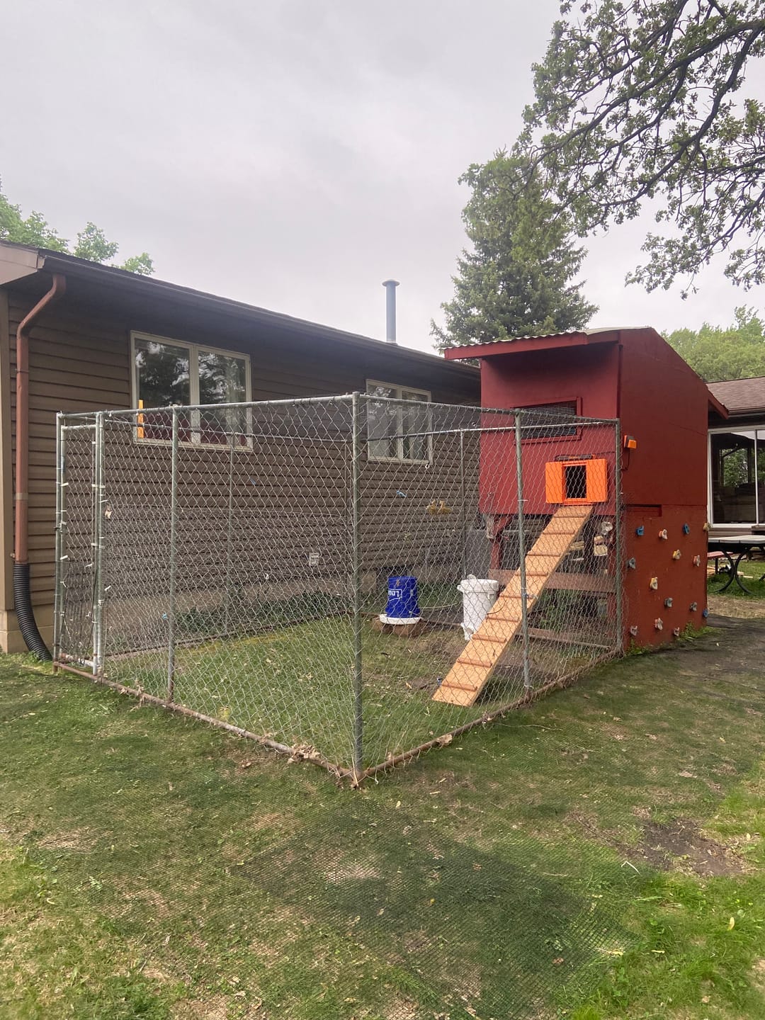 Customer photo review of Solar Automatic Chicken Coop Door