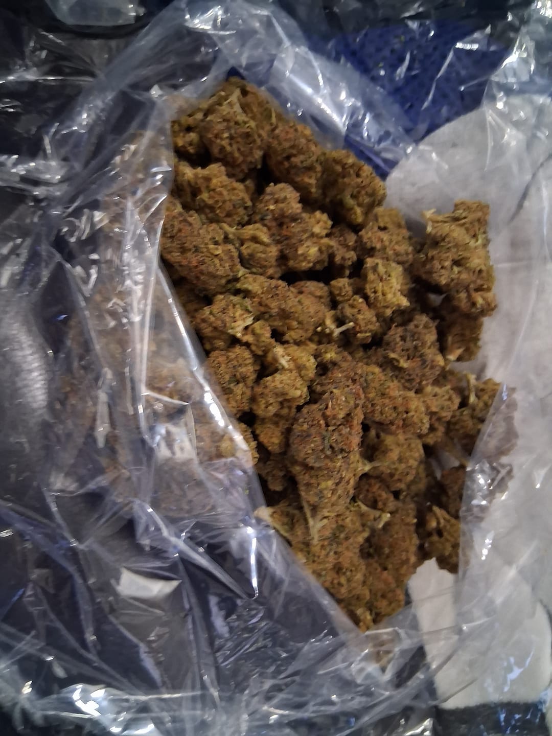 Customer photo review of CheeseCake 41- Bulk - Indica