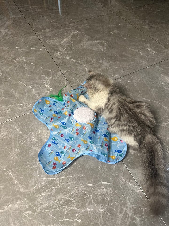 Customer photo review of Teasing UFO (Cats)