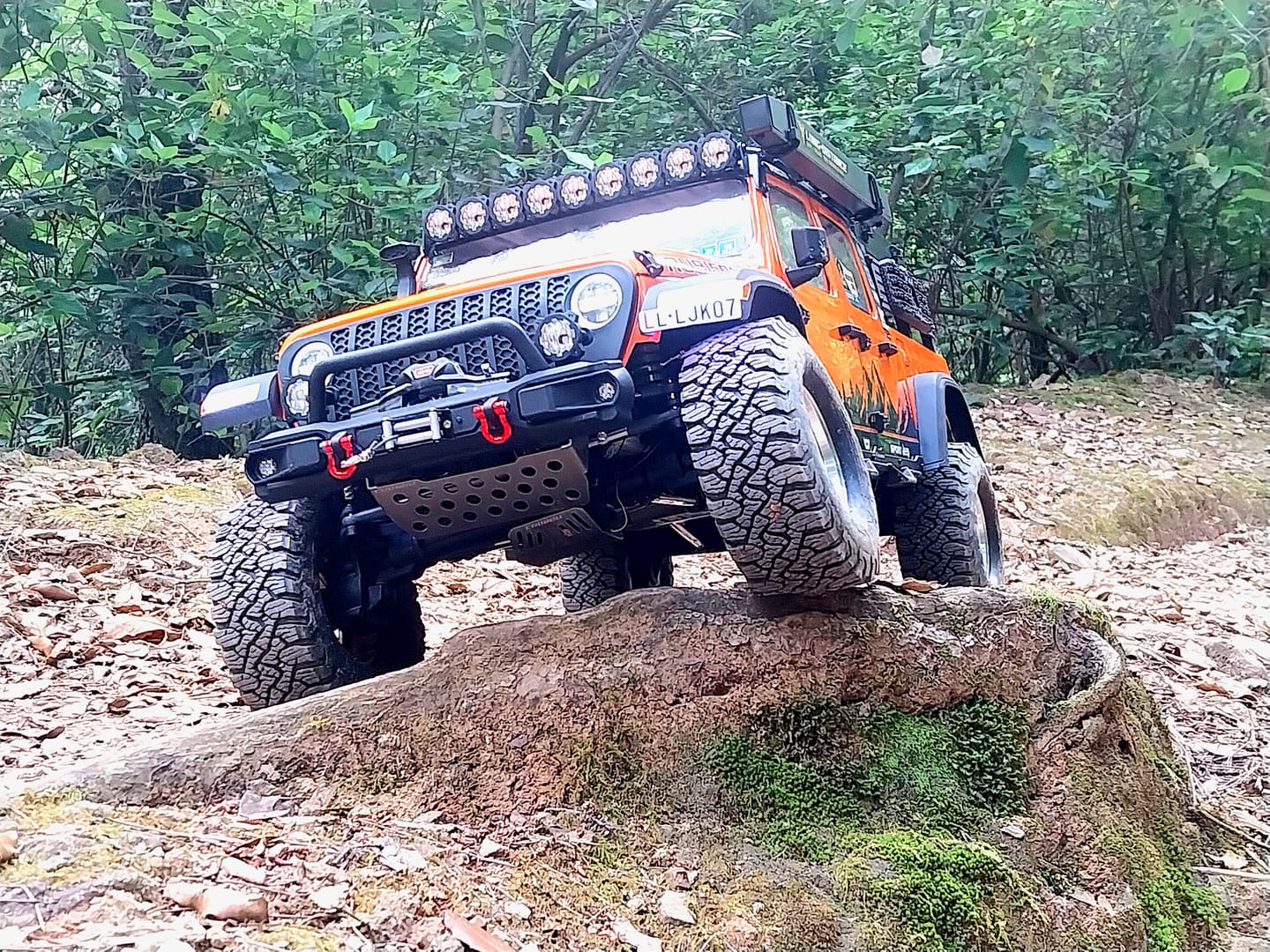 Customer photo review of 1/7 Scale 4WD Brushless RTR RC Crawler JK07Pro