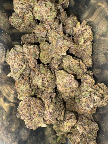 Customer photo review of Night Train THCA Flower