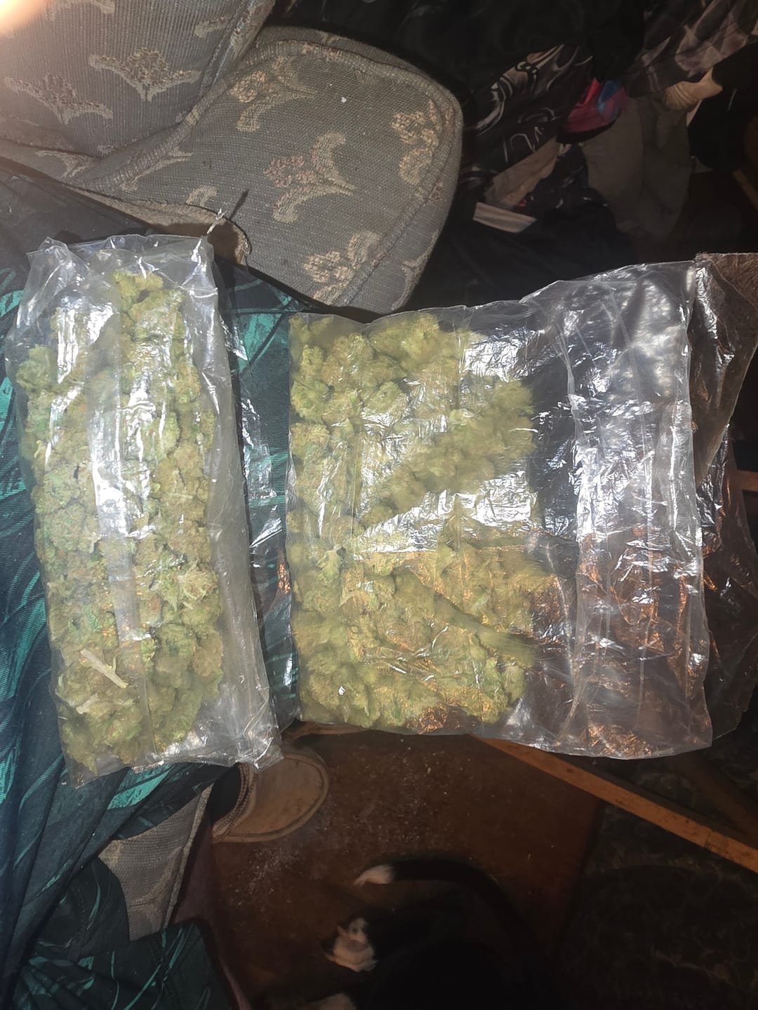 Customer photo review of Maui Wowie - 28 Grams Littles - Sativa