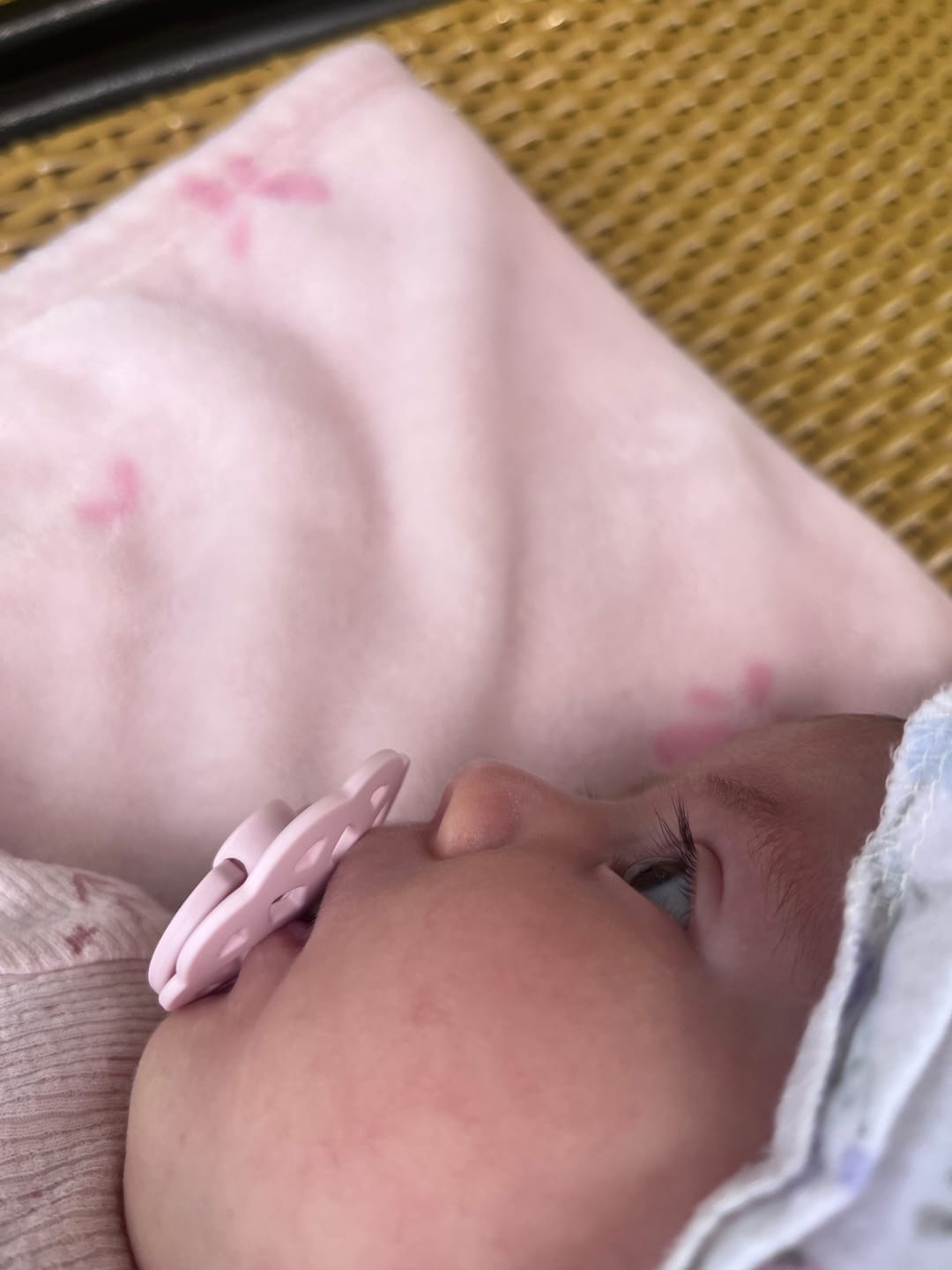Customer photo review of BIBS Boheme Pacifiers / Dummies 4 Pack - Ivory/Blush/Woodchuck/Blossom