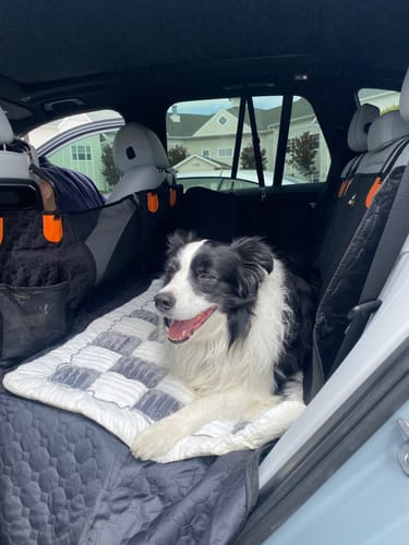 Customer photo review of RuffRover 2.0™ - Hard Bottom Dog Car Seat Protector + (FREE Dog Bed)