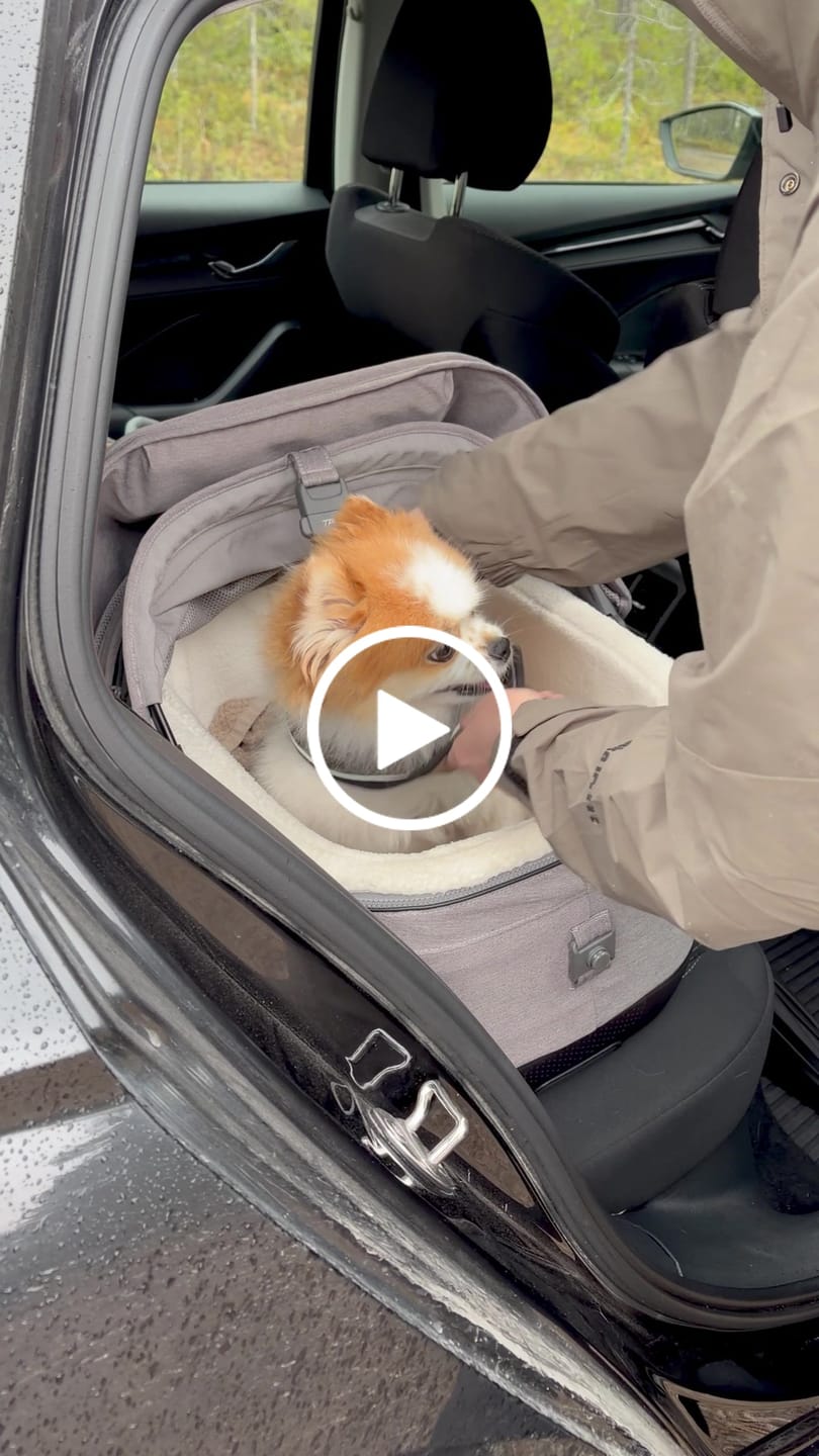 Customer video review of Maeve ISO - Törmäystestattu lemmikin ISOFIX turvaistuin