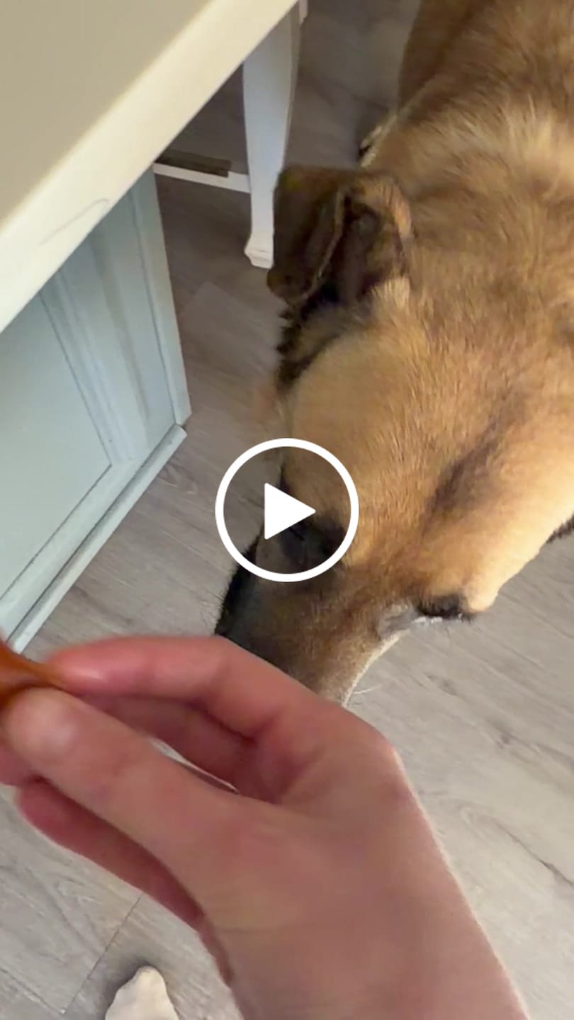 Customer video review of Wrap-Ups® Pill Wrapper