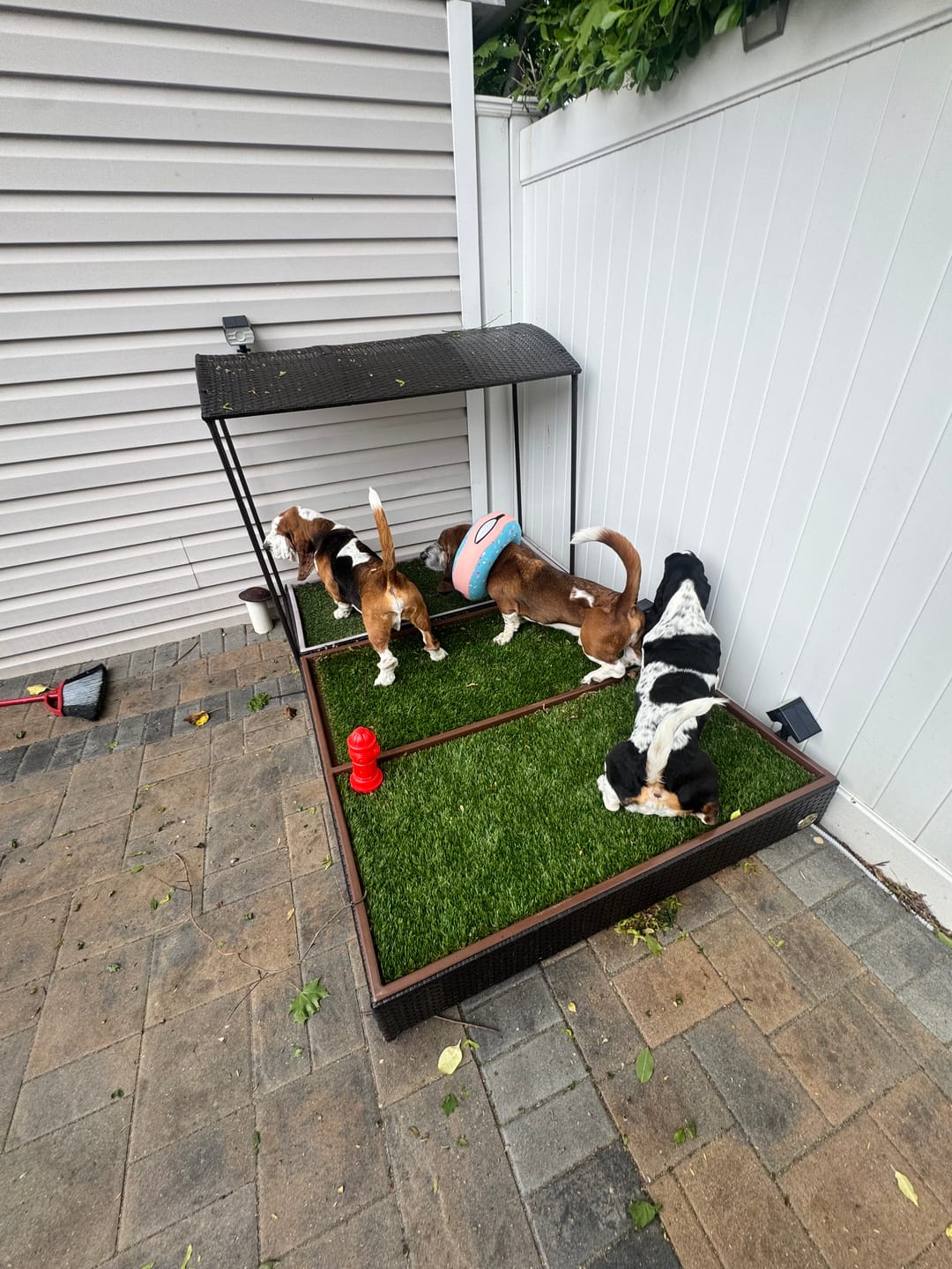 Customer photo review of Porch Potty MEGA