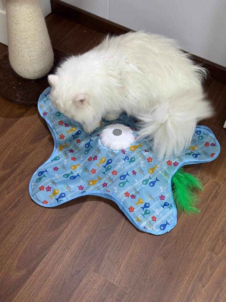 Customer photo review of Teasing UFO (Cats)
