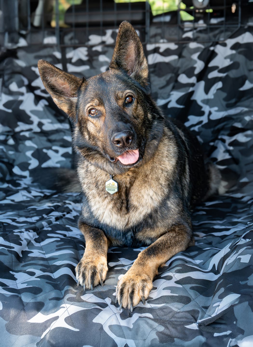 Customer photo review of SUV Cargo Liner for Fold Down Seats - Large