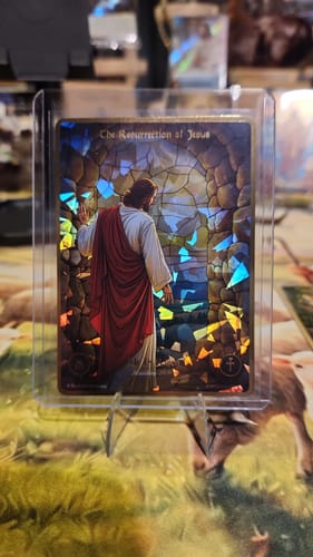 Customer photo review of Collector's Bundle