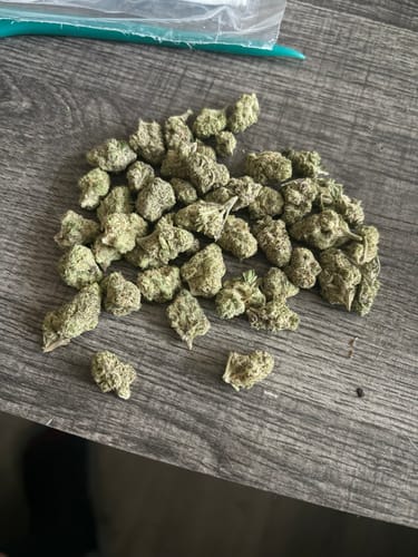 Purple Kush - Bulk - Indica photo review
