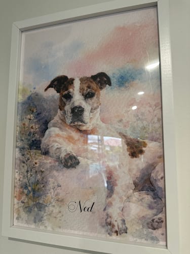 Customer photo review of Personalised Poster With Dog or Cat - Watercolour