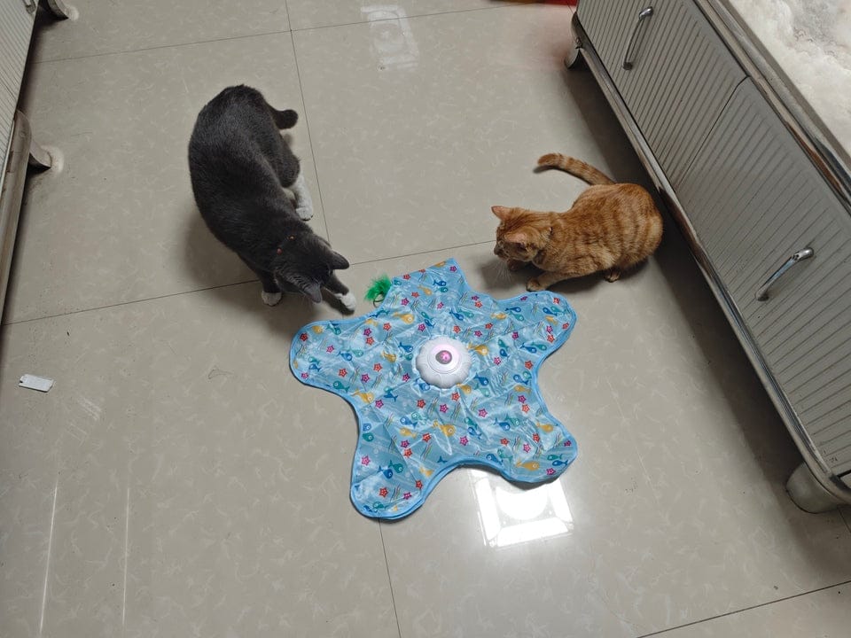 Customer photo review of Teasing UFO (Cats)