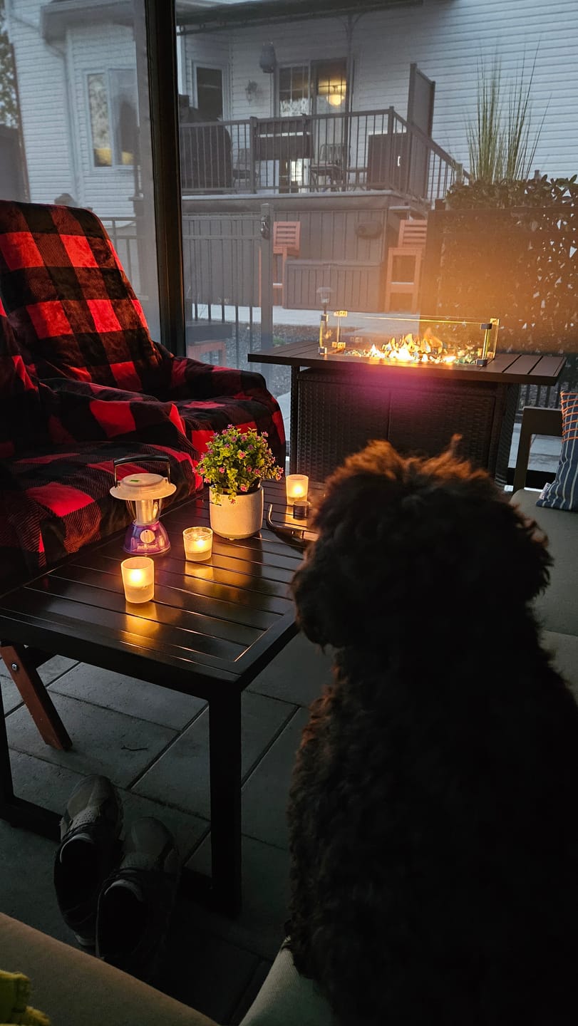 Customer photo review of The Chair Blanket