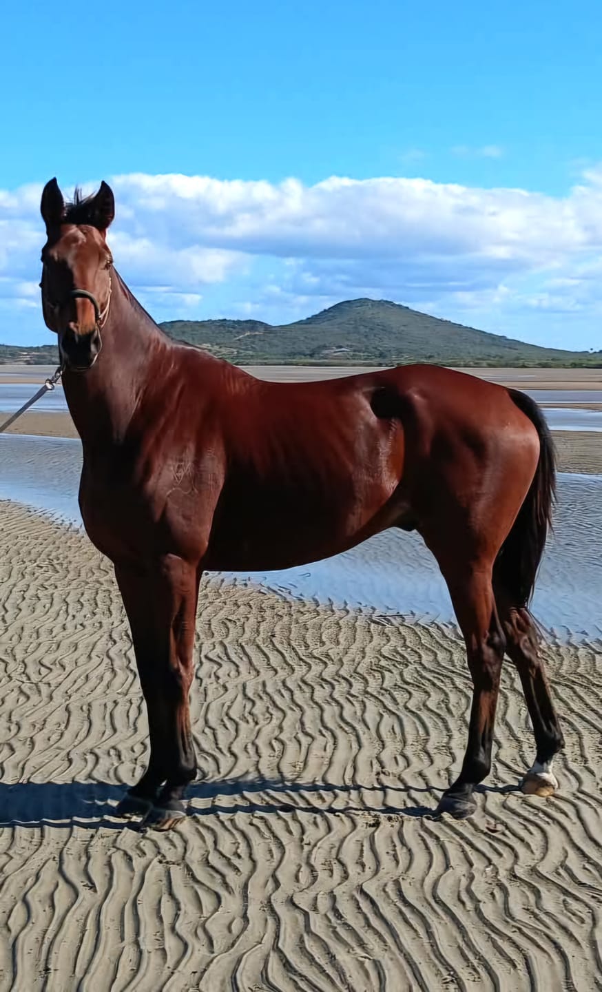Customer photo review of Digestive EQ